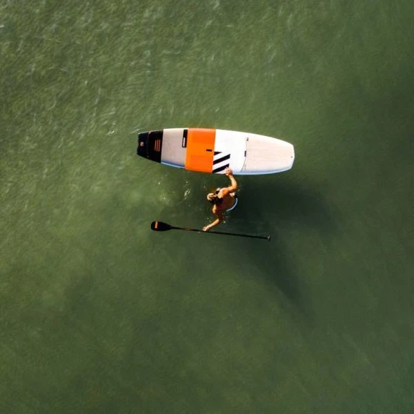 RRD Morpho - Image 2